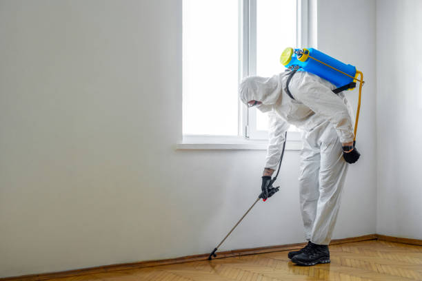 Best Pest Inspection Near Me  in Central Garage, VA