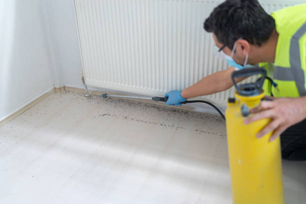 Best Bed Bug Extermination  in Central Garage, VA